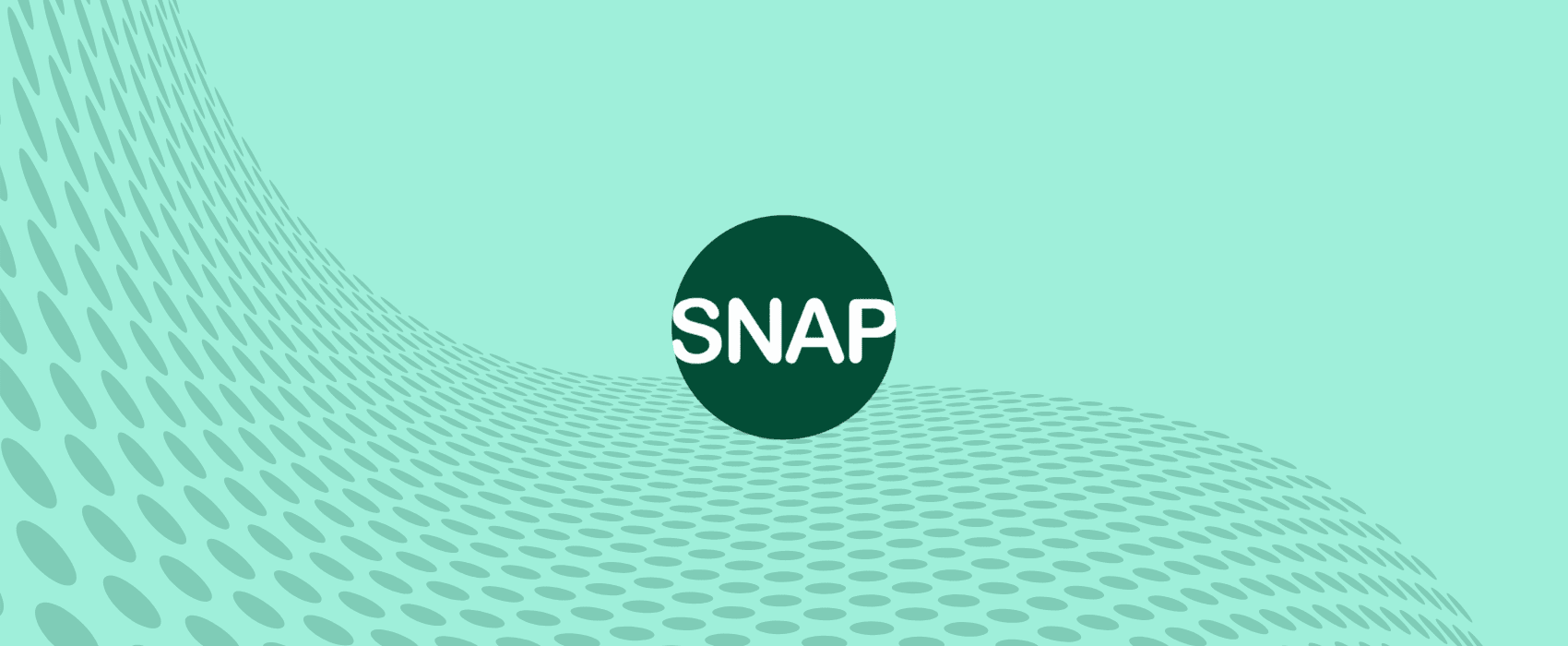 Why independent grocery stores need to offer online SNAP Rosie App